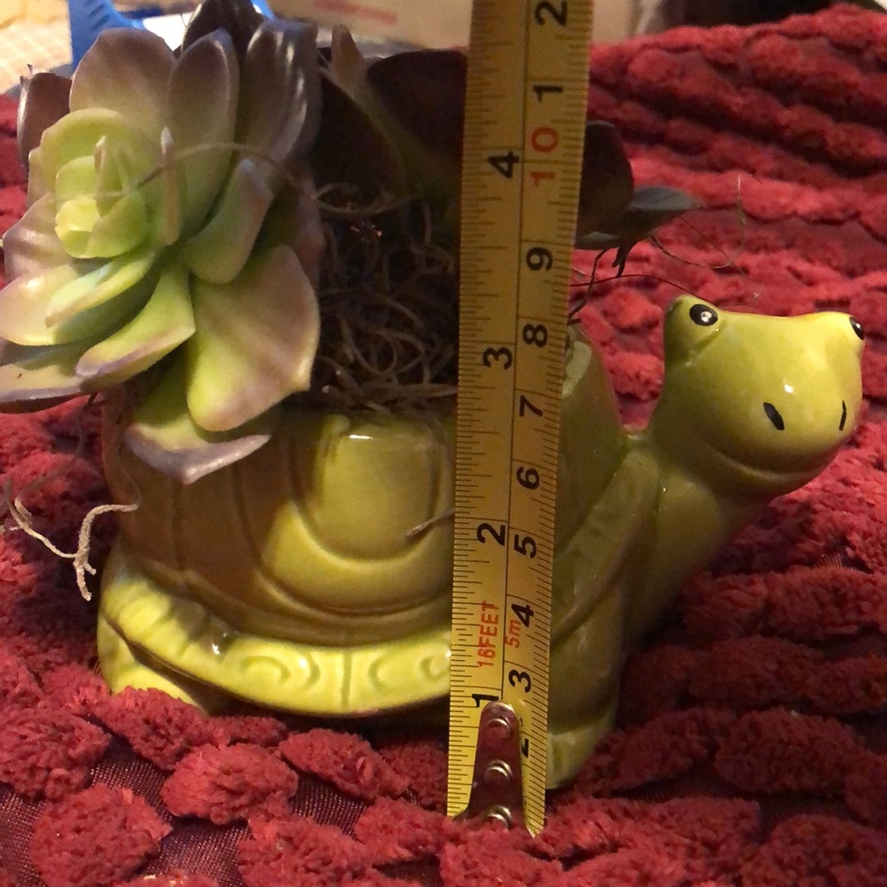 Turtle pot - Picture 4 of 5